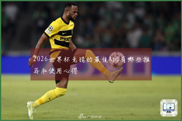 2026世界杯竞猜的最佳App有哪些推荐和使用心得