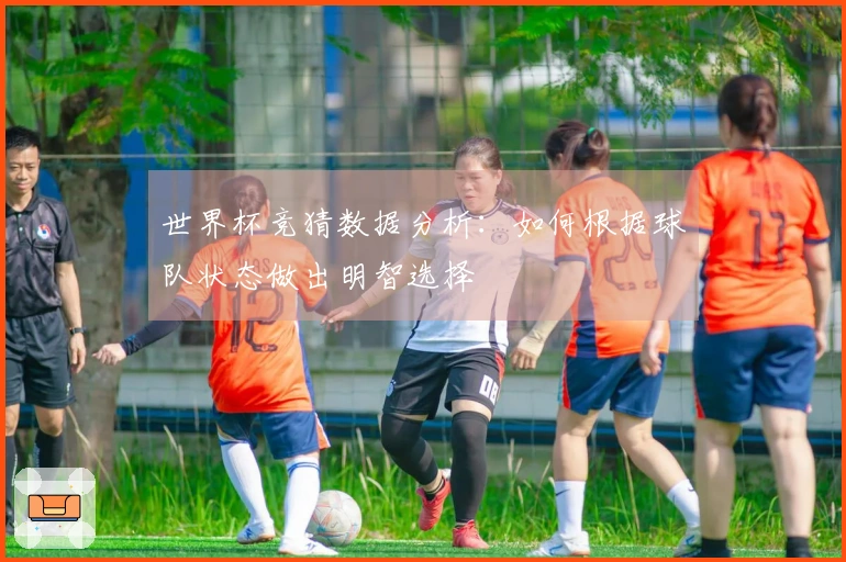 世界杯竞猜数据分析：如何根据球队状态做出明智选择