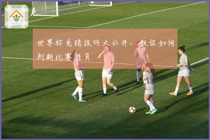世界杯竞猜技巧大公开，教你如何判断比赛胜负