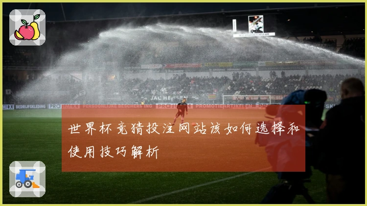 世界杯竞猜投注网站该如何选择和使用技巧解析