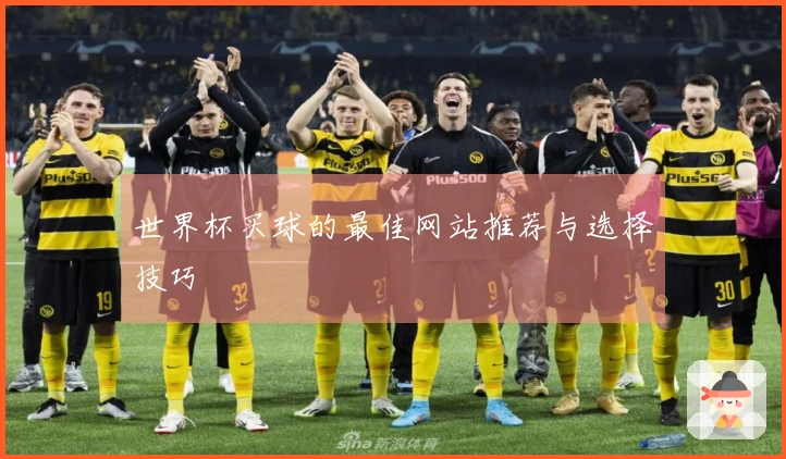 世界杯买球的最佳网站推荐与选择技巧