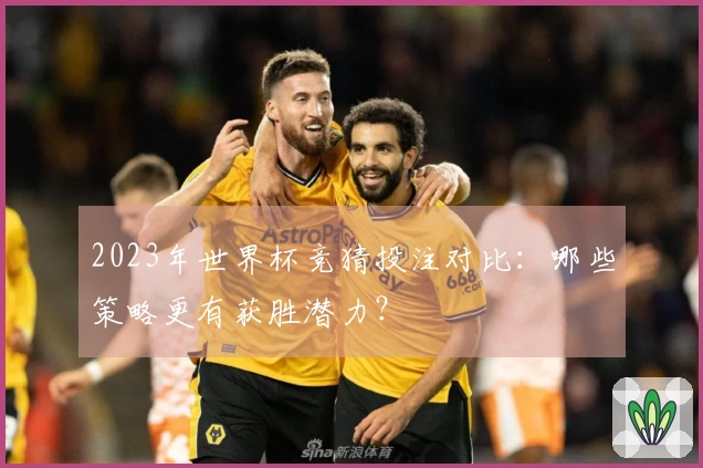 2023年世界杯竞猜投注对比：哪些策略更有获胜潜力？
