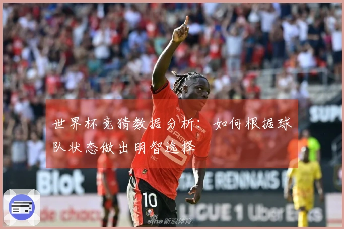 世界杯竞猜数据分析：如何根据球队状态做出明智选择